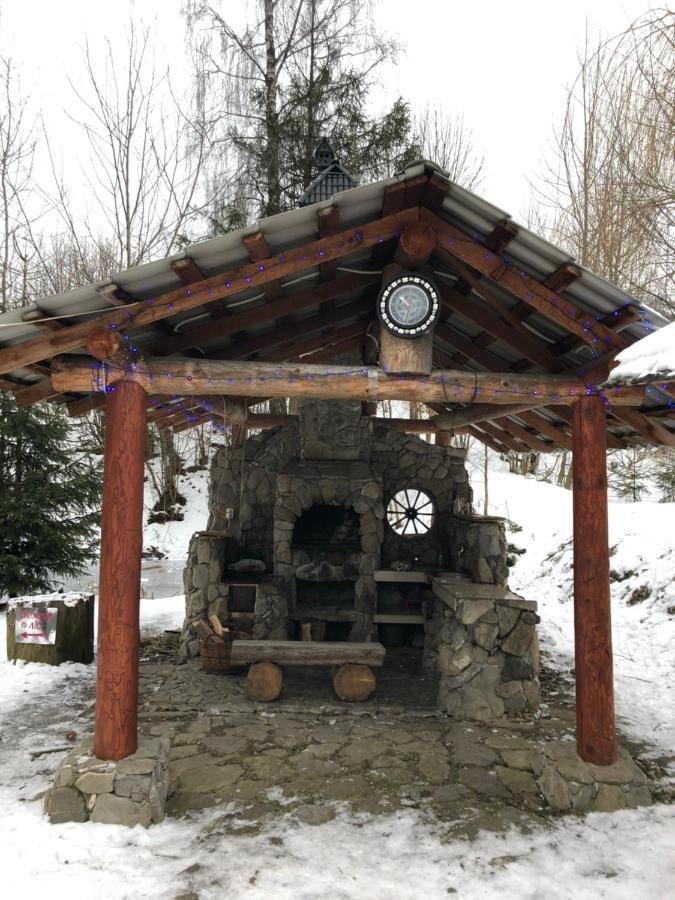 Будинок Художника Шипіт Пилипець Екстер'єр фото